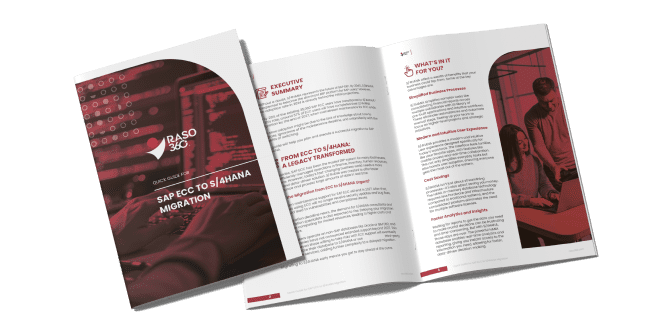 Raso360 business solutions team graphic